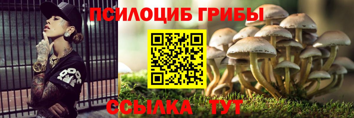 Кандалакша  Галлюциногенные грибы Psilocybine cubensis  Вход с VPN 